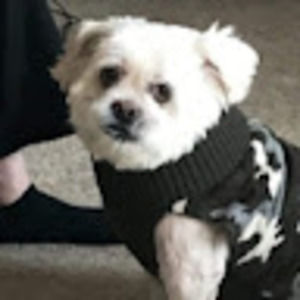 Meet your Posher, Lori